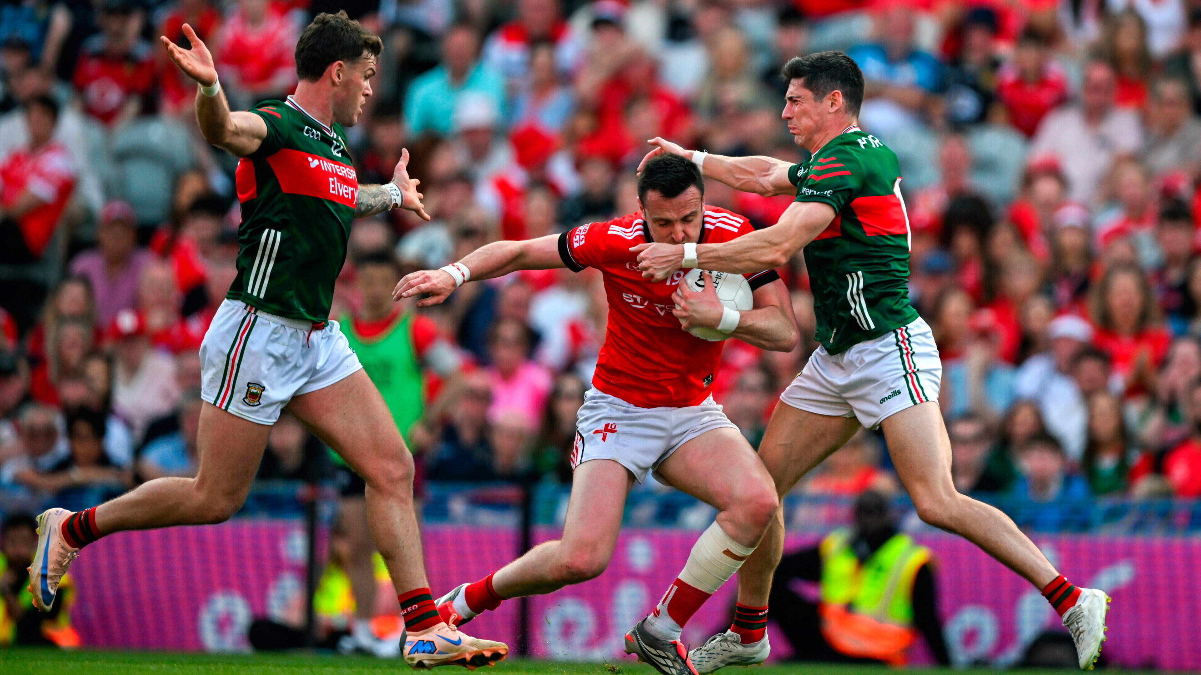 Louth on a journey that will see them only improve